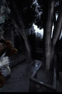 Media '5.jpg' in category 'Harju Kiira'