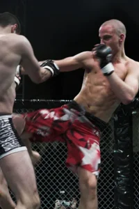 Media 'IMG_3167-01.jpg' in category 'Cage 5'