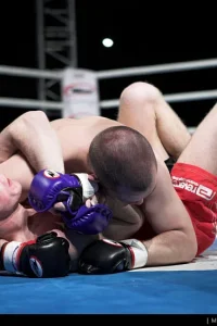 Media 'FF2005.jpg' in category 'Fight Festival 20'