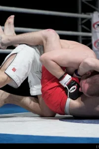 Media 'FF2003.jpg' in category 'Fight Festival 20'