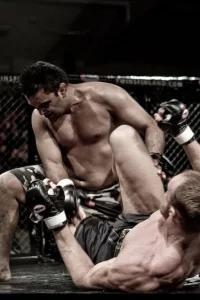 Media 'IMG_3548-34.jpg' in category 'Cage 9'