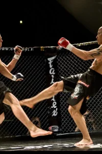 Media 'VG7G1524.jpg' in category 'Cage 10'