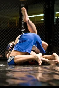 Media 'VG7G1382.jpg' in category 'Cage 10'