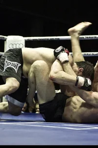 Media 'IMG_0656-10.jpg' in category 'Fight Festival 22'