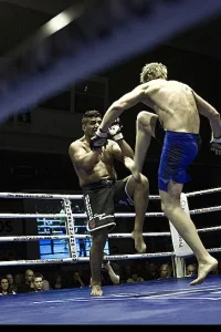 Media 'IMG_0408-10.jpg' in category 'Fight Festival 22'