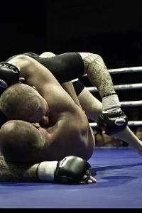 Media 'IMG_0355-10.jpg' in category 'Fight Festival 22'