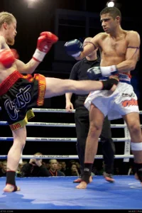 Media 'VG7G0518-38.jpg' in category 'Fight Festival 25'