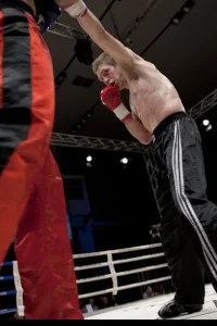 Media 'D3X_0849.jpg' in category 'Fight Festival 30'