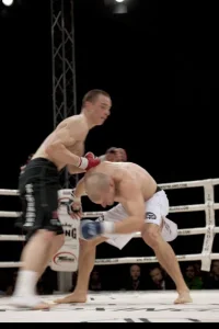 Media 'D3X_0755.jpg' in category 'Fight Festival 30'