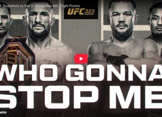 UFC 323: Dvalishvili vs Yan 2