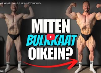 OTA NÄMÄ VINKIT TALTEEN | AYRTON KALEK